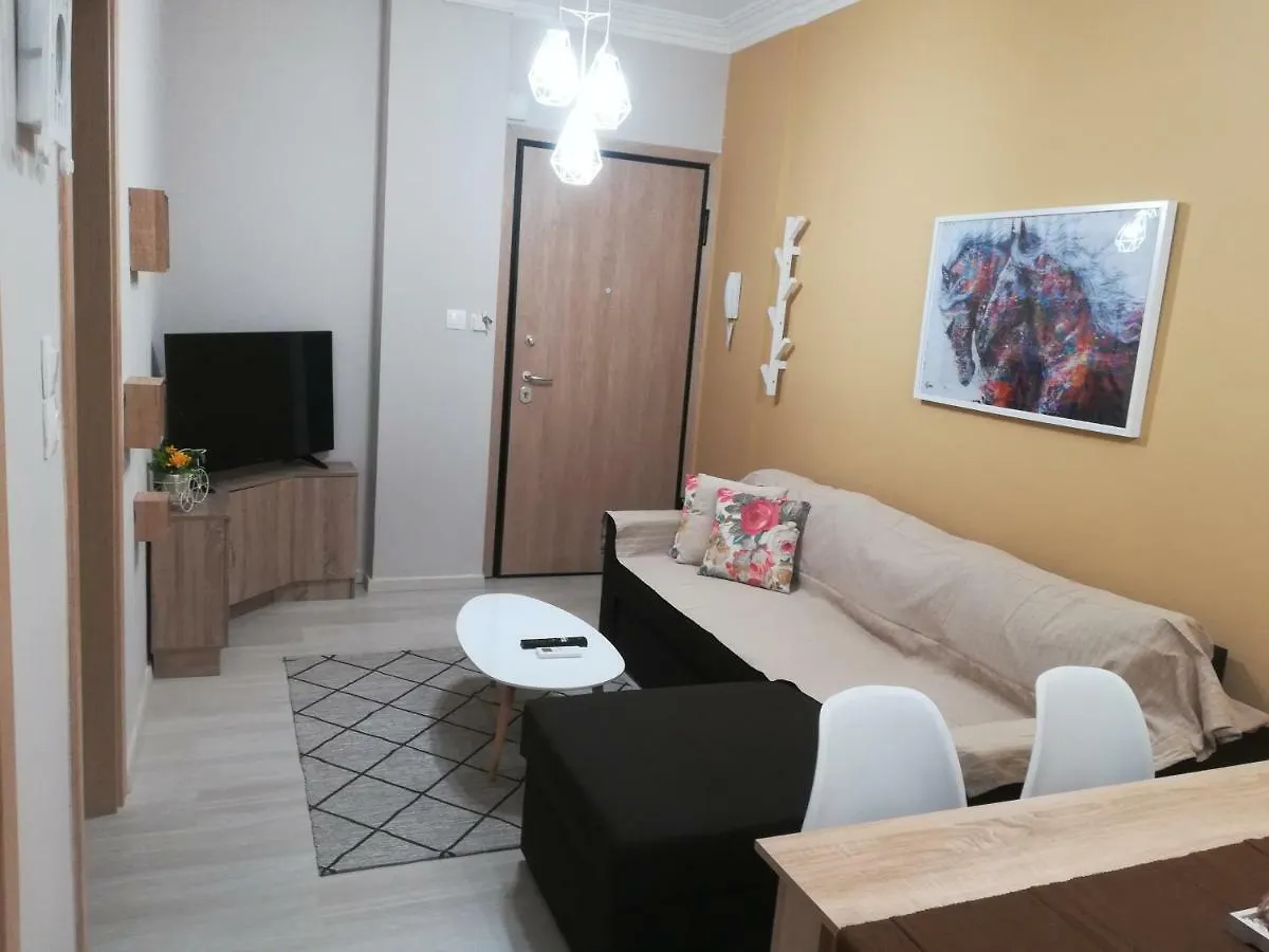 Central Apartment contacts